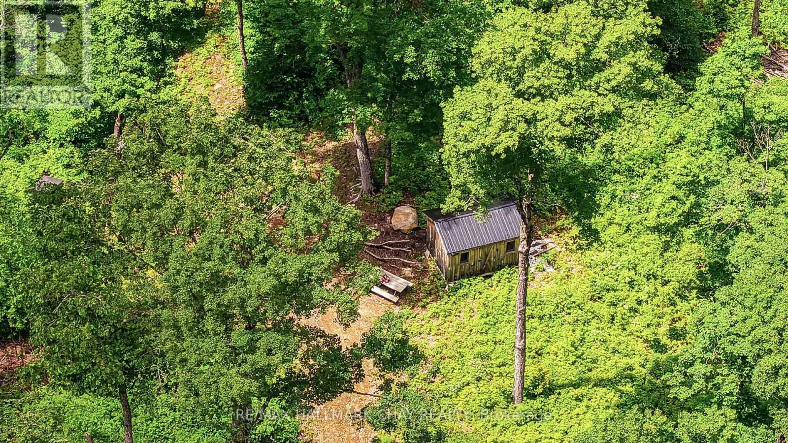 Lot 29 Concession 11 Franklin, Lake Of Bays, Ontario  N0N 0N0 - Photo 30 - X13501586