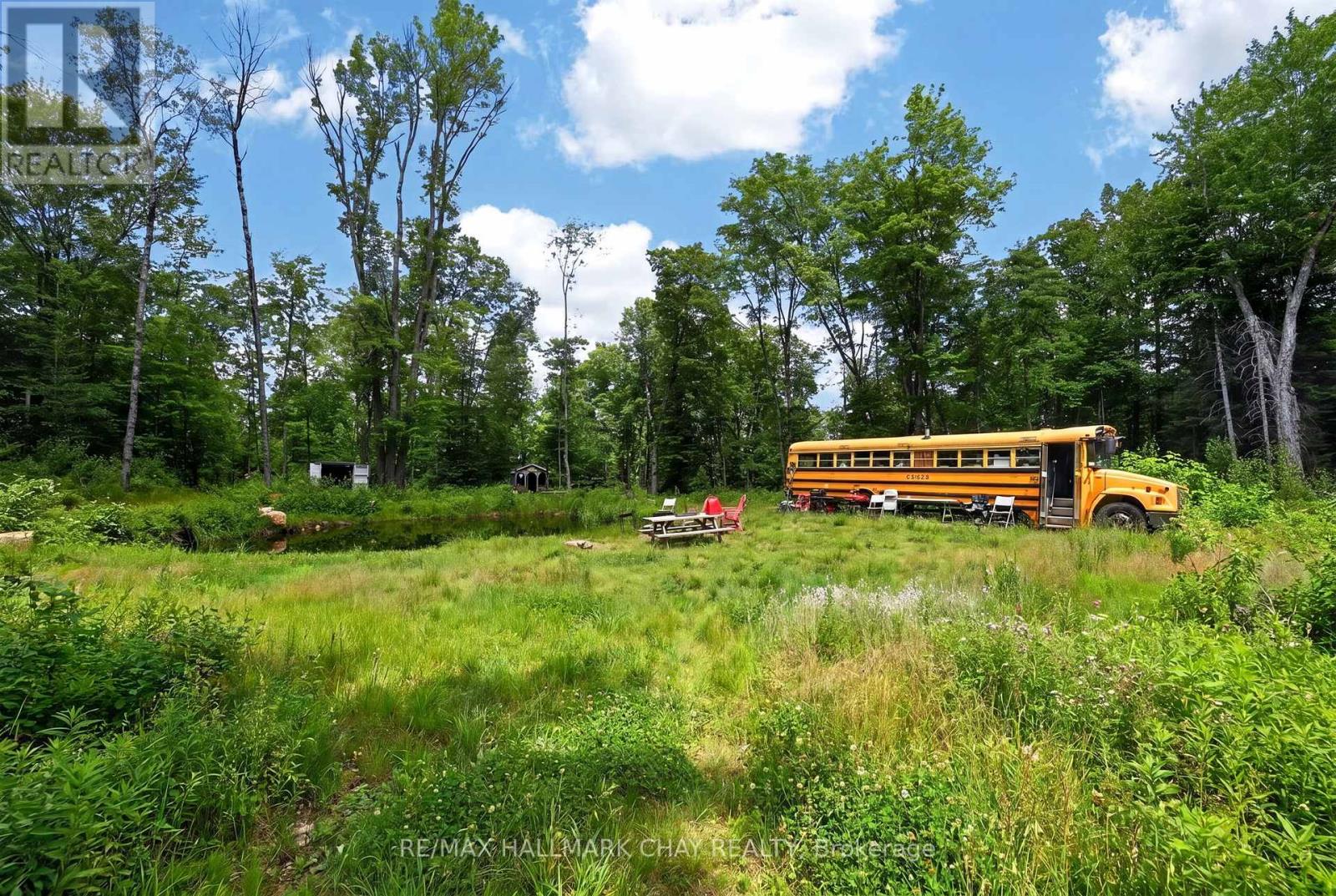 Lot 29 Concession 11 Franklin, Lake Of Bays, Ontario  N0N 0N0 - Photo 4 - X13501586