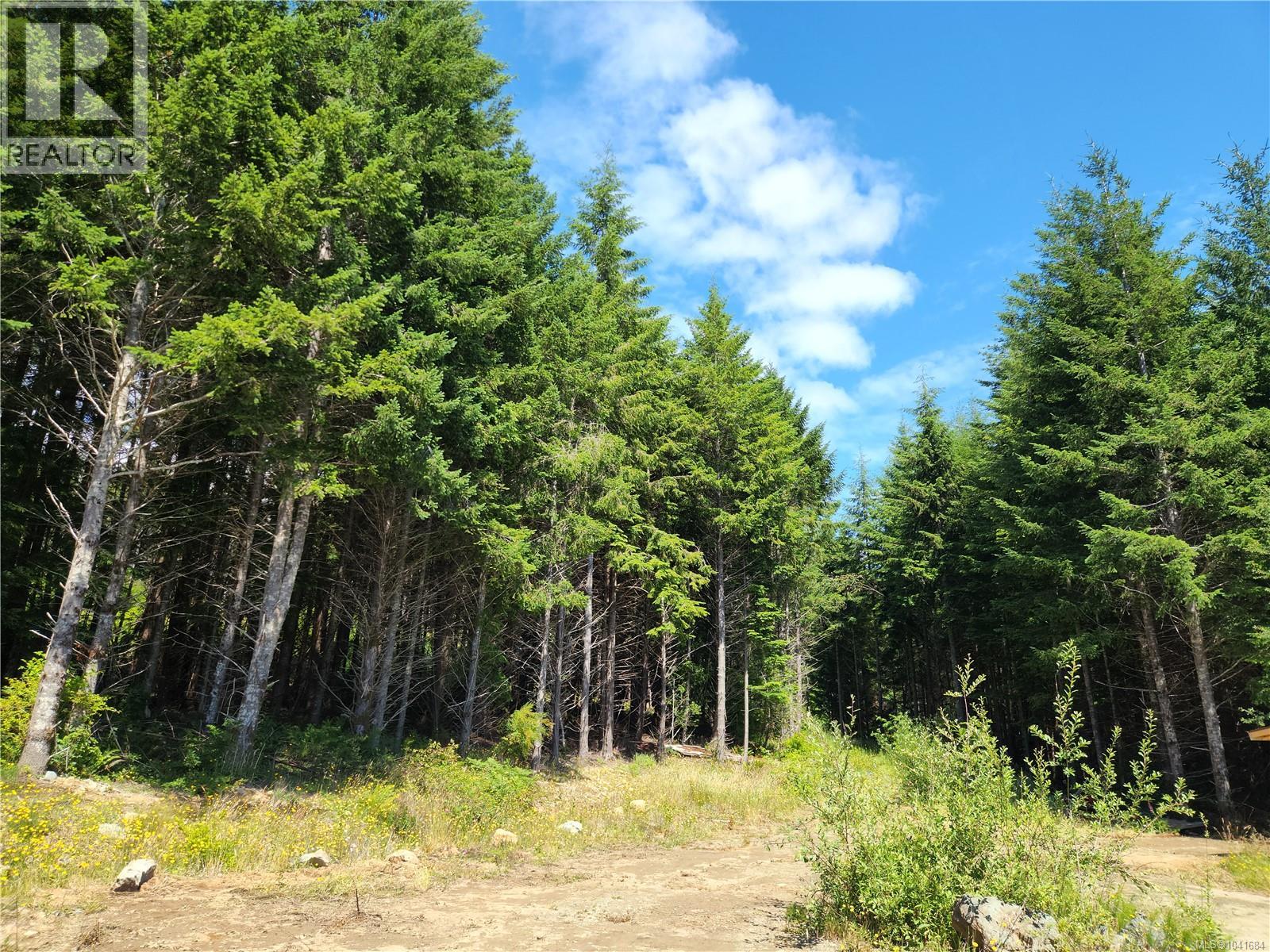 1 Timberline Way