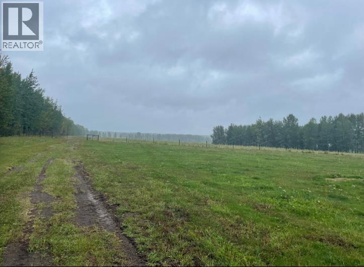 53032 Range Road 103, Wildwood, Alberta  T0E 2M0 - Photo 19 - A2323939