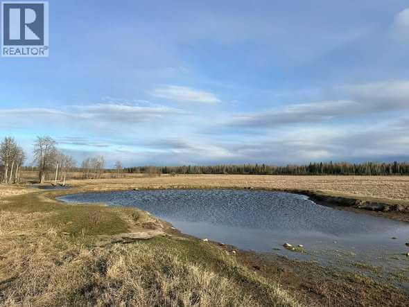 53032 Range Road 103, Wildwood, Alberta  T0E 2M0 - Photo 21 - A2323939