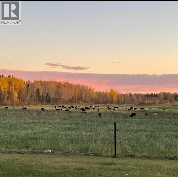53032 Range Road 103, Wildwood, Alberta  T0E 2M0 - Photo 22 - A2323939