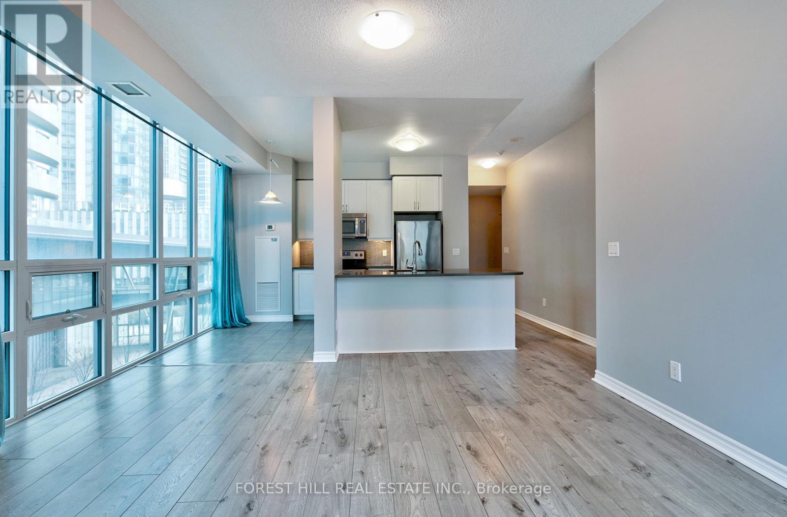 306 - 19 Grand Trunk Crescent, Toronto, Ontario  M5J 3A3 - Photo 10 - C13502020