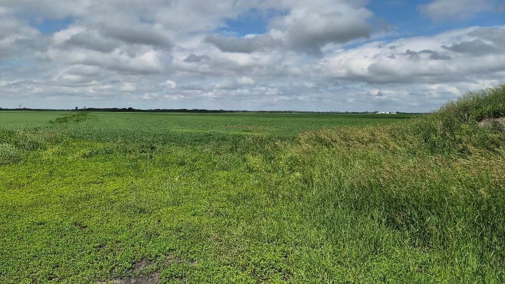 0 Rd 31 W 73n Road, Portage La Prairie Rm, Manitoba  R0H 0K0 - Photo 0 - 202615094
