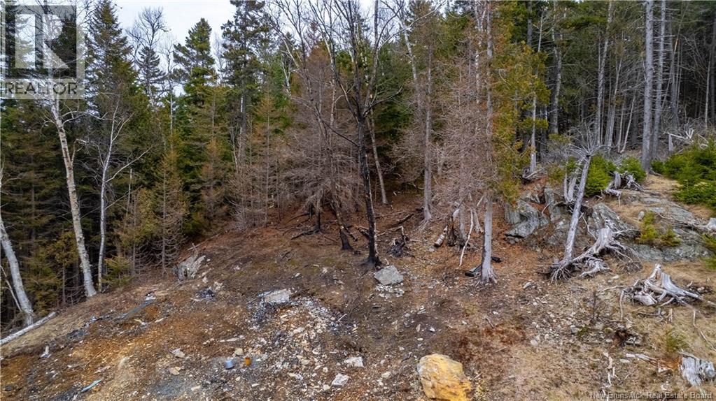 97 Lambert, Lamberts Cove, New Brunswick  E0H 1W0 - Photo 14 - NB116085