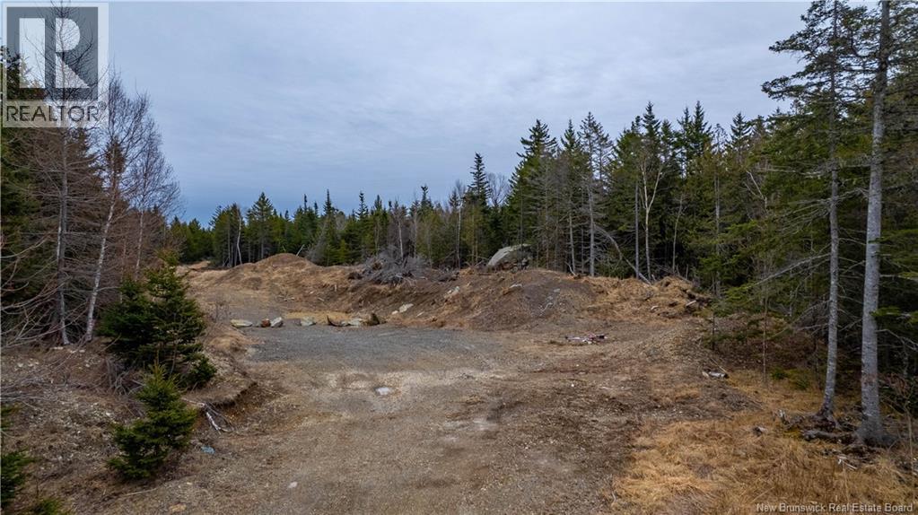 97 Lambert, Lamberts Cove, New Brunswick  E0H 1W0 - Photo 28 - NB116085