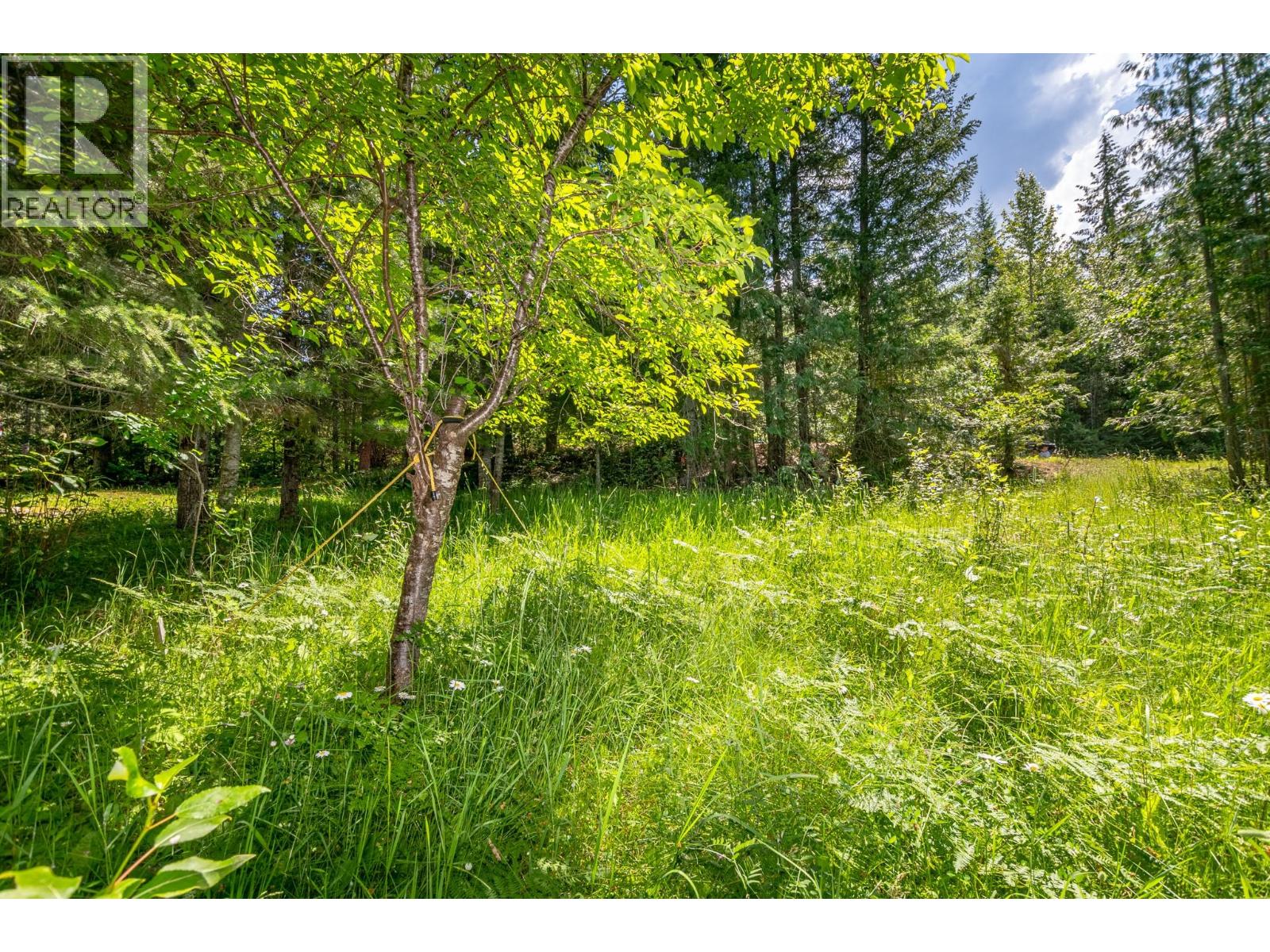98 Dolly Varden Road, Enderby, British Columbia