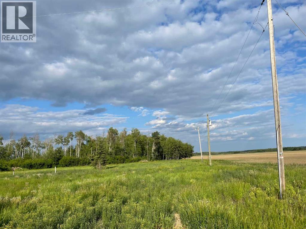 109535 Rg Rd 165, Rural Mackenzie County, Alberta  T0H 1Z0 - Photo 3 - A2234277