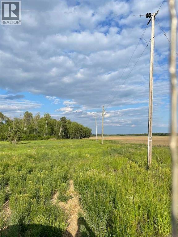 109535 Rg Rd 165, Rural Mackenzie County, Alberta  T0H 1Z0 - Photo 4 - A2234277