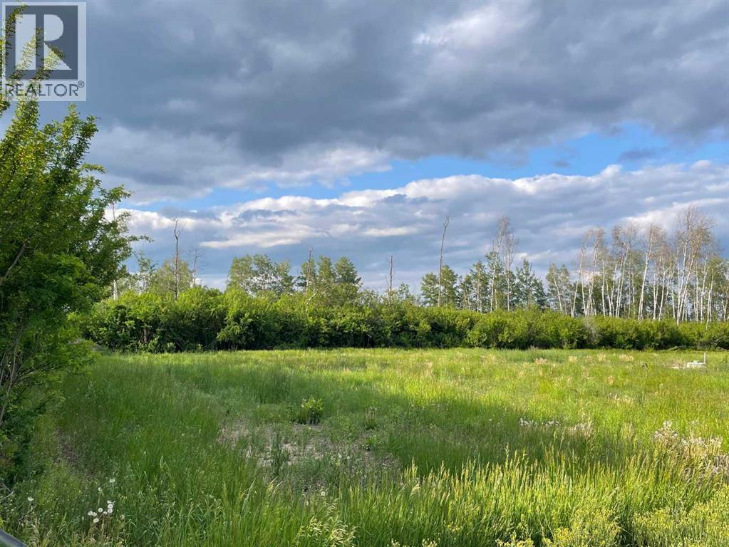 109535 Rg Rd 165, Rural Mackenzie County, Alberta  T0H 1Z0 - Photo 2 - A2234277