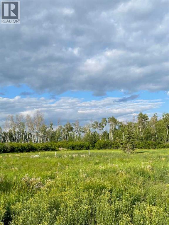 109535 Rg Rd 165, Rural Mackenzie County, Alberta  T0H 1Z0 - Photo 5 - A2234277