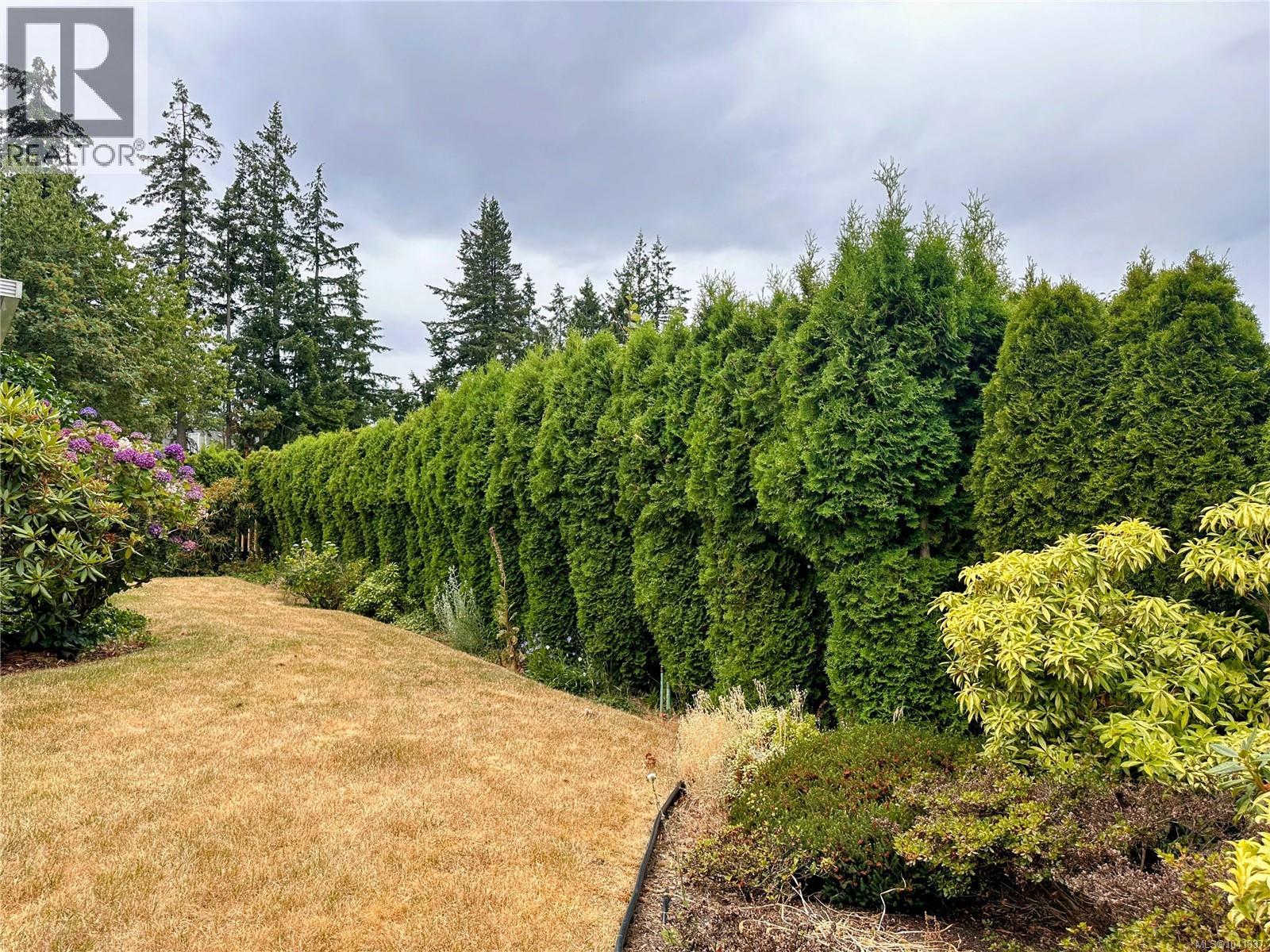 Listing image 50