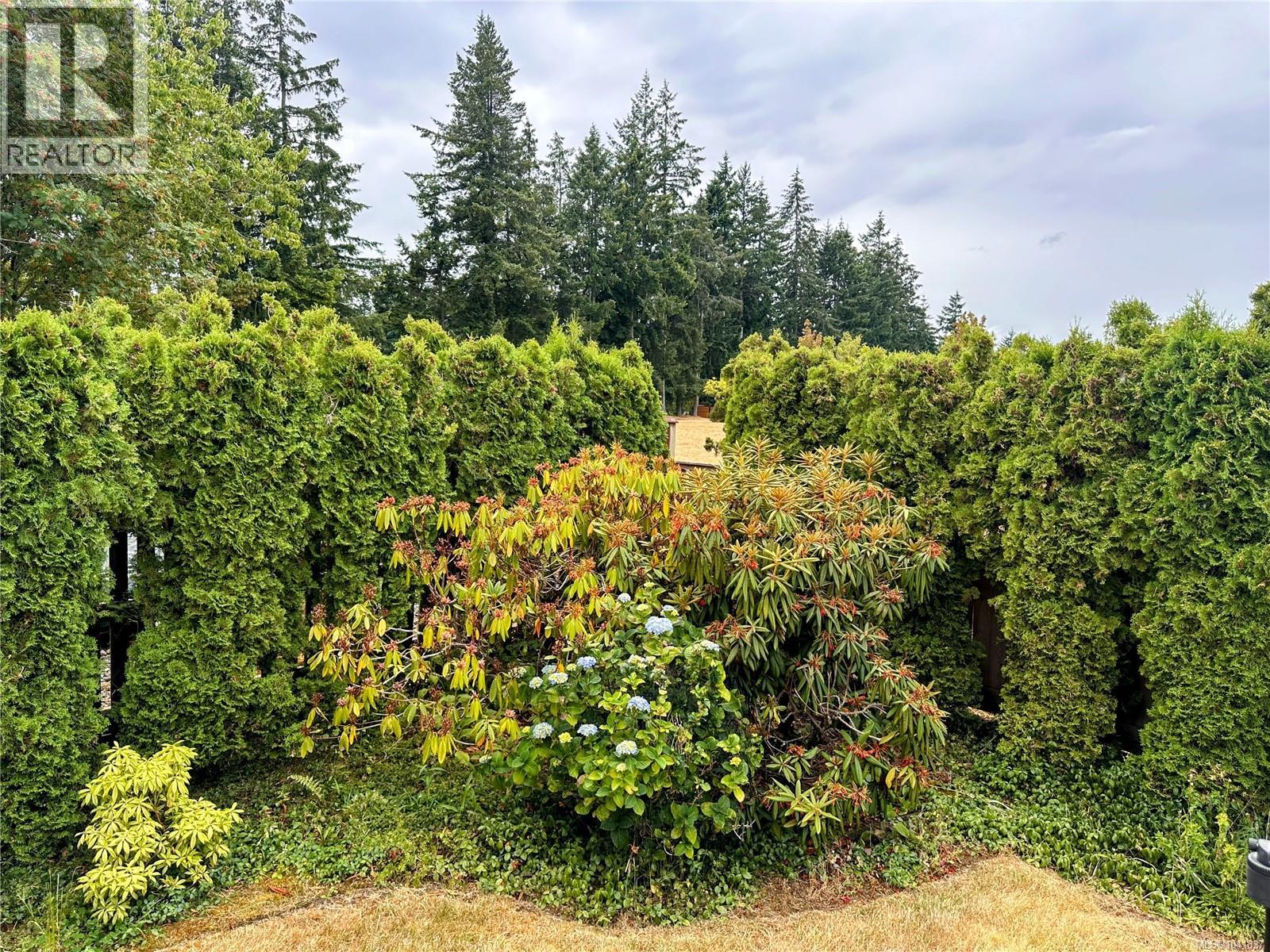 Listing image 51