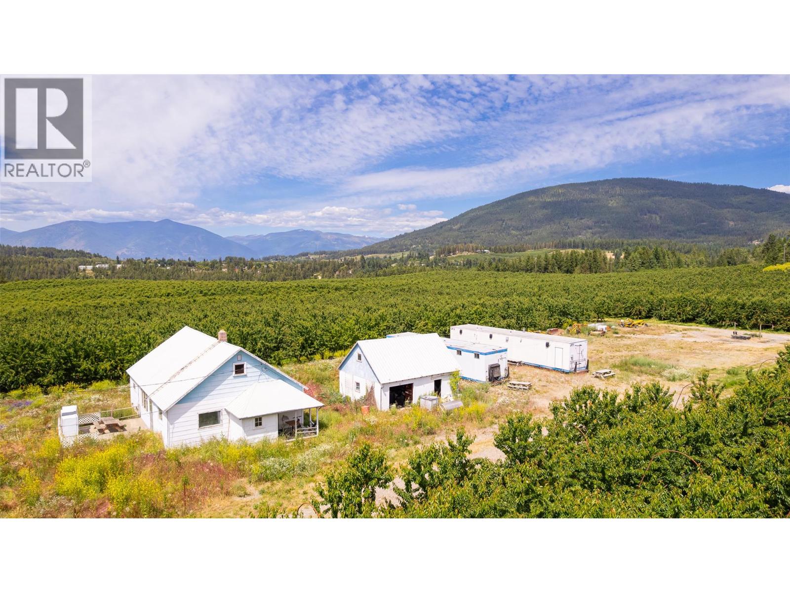 3938 46th Street, Canyon, British Columbia  V0B 1C1 - Photo 8 - 10390802