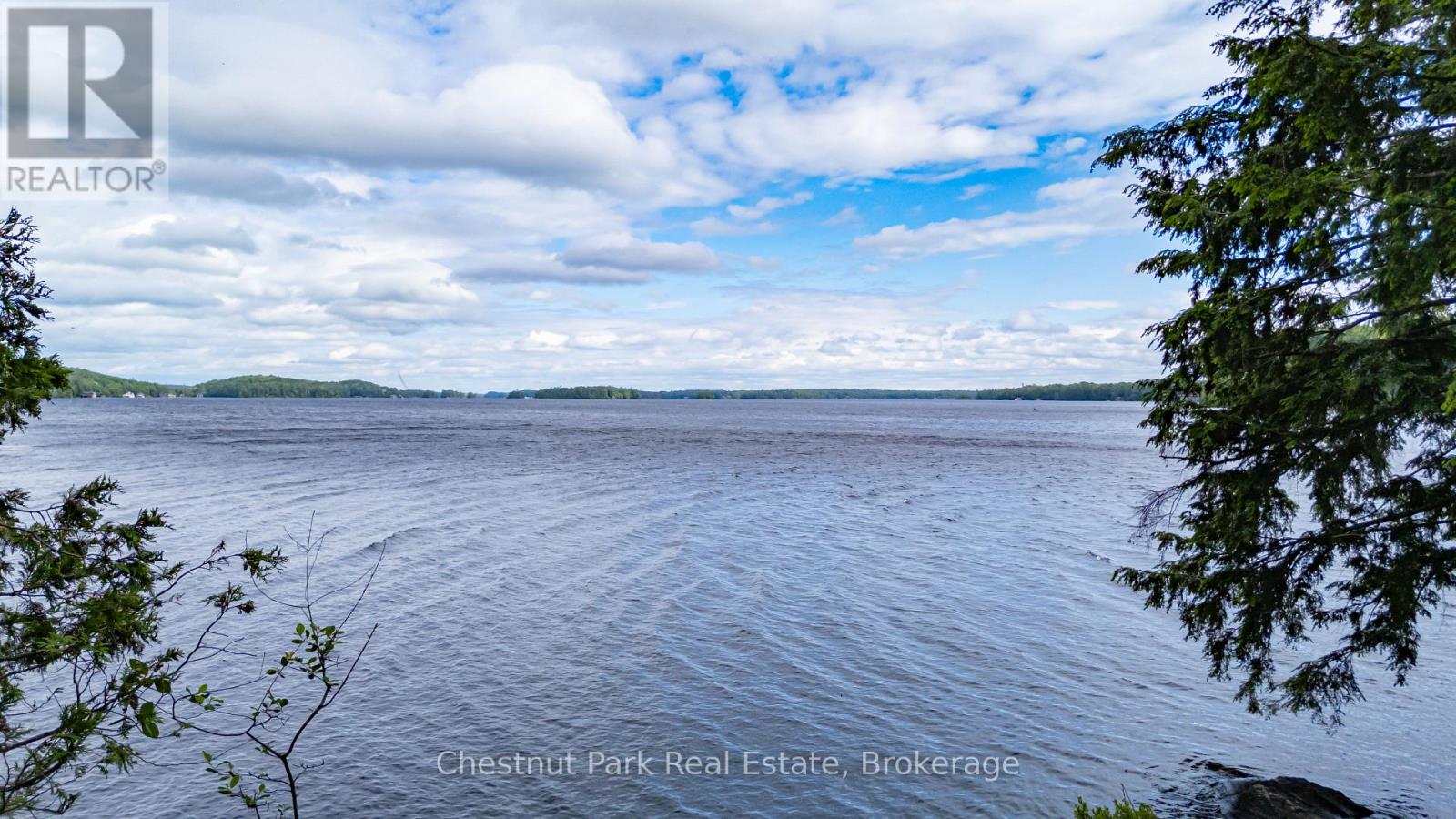 0 Meda Island Lot 5, Muskoka Lakes (Medora), Ontario  P0B 1J0 - Photo 8 - X13095056