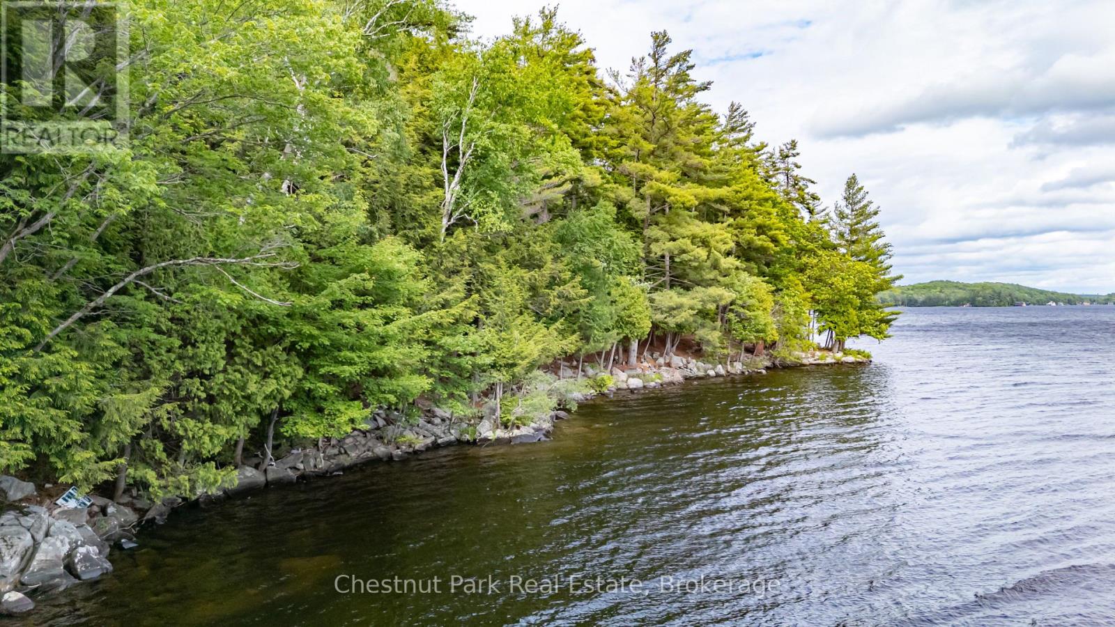 0 Meda Island Lot 5, Muskoka Lakes (Medora), Ontario  P0B 1J0 - Photo 7 - X13095056
