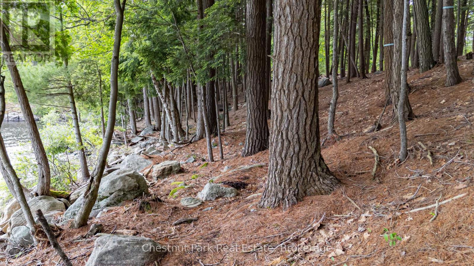 0 Meda Island Lot 5, Muskoka Lakes (Medora), Ontario  P0B 1J0 - Photo 5 - X13095056