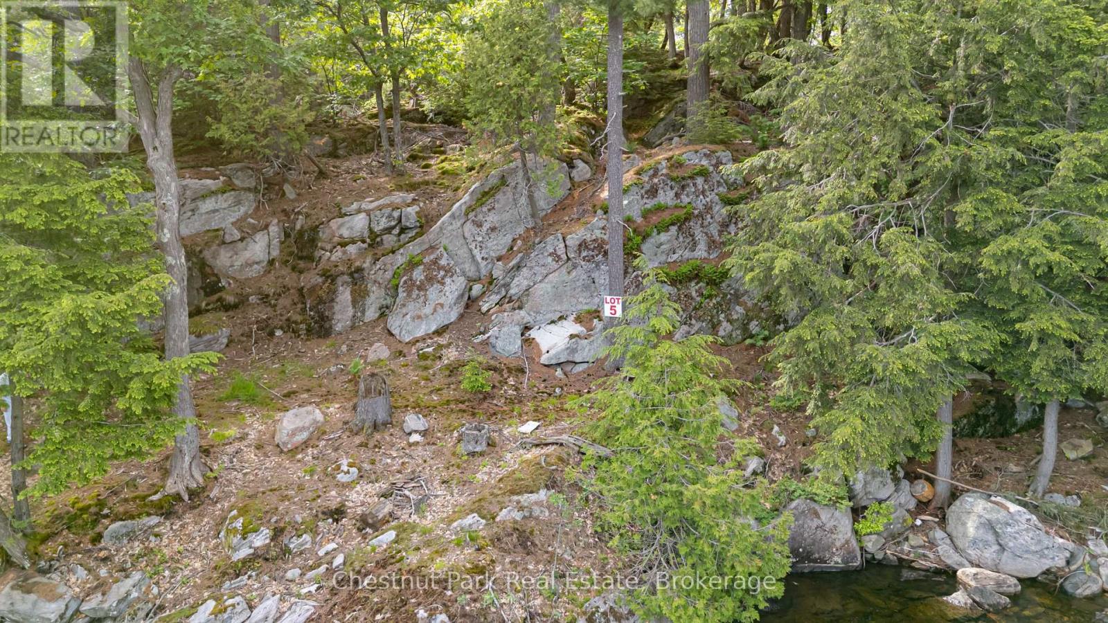 0 Meda Island Lot 5, Muskoka Lakes (Medora), Ontario  P0B 1J0 - Photo 6 - X13095056