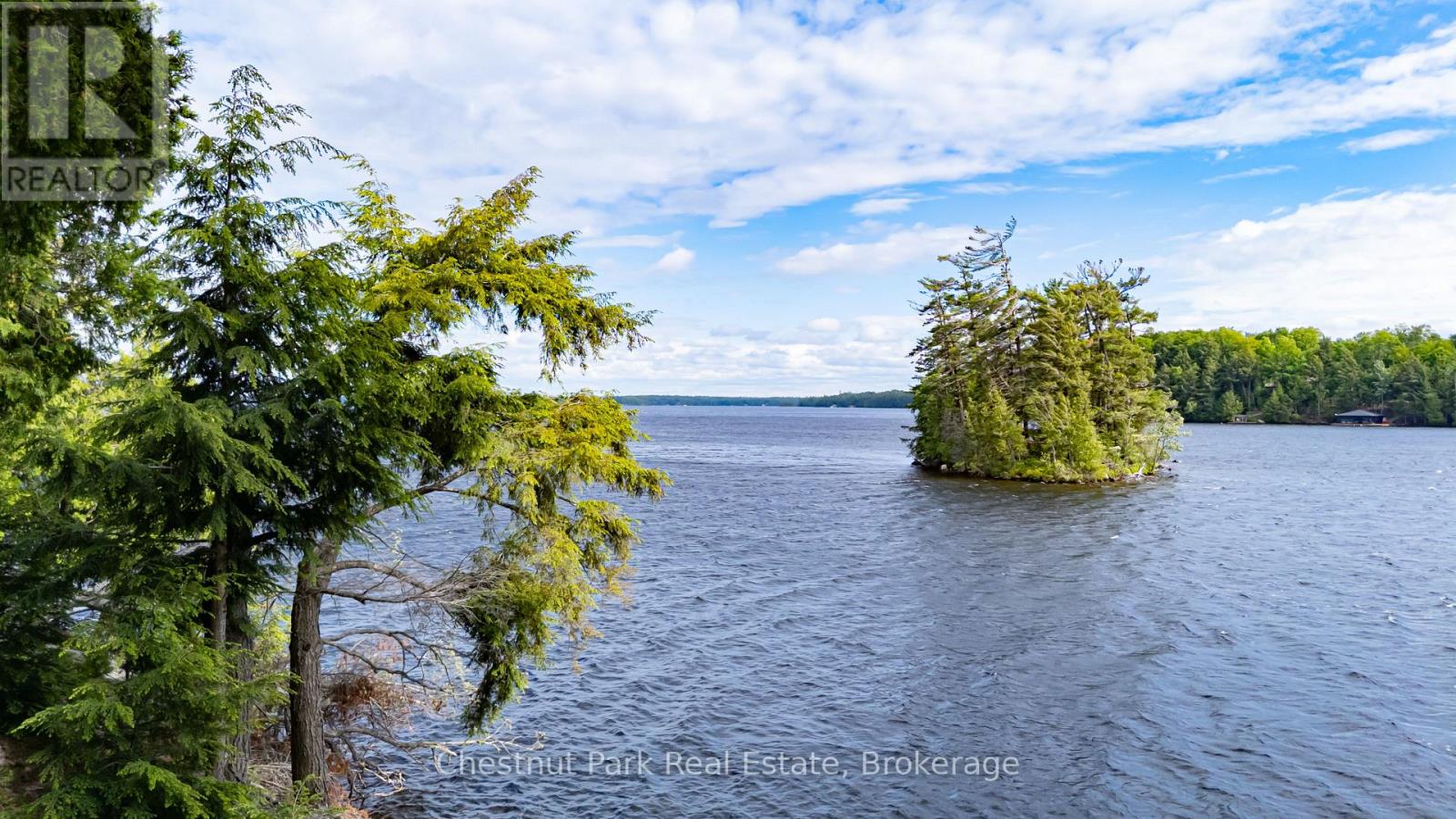 0 Meda Island Lot 5, Muskoka Lakes (Medora), Ontario  P0B 1J0 - Photo 3 - X13095056