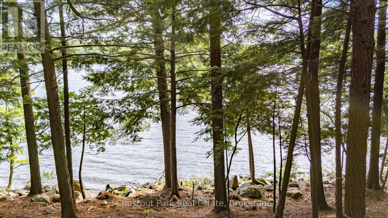 0 Meda Island Lot 5, Muskoka Lakes (Medora), Ontario  P0B 1J0 - Photo 4 - X13095056