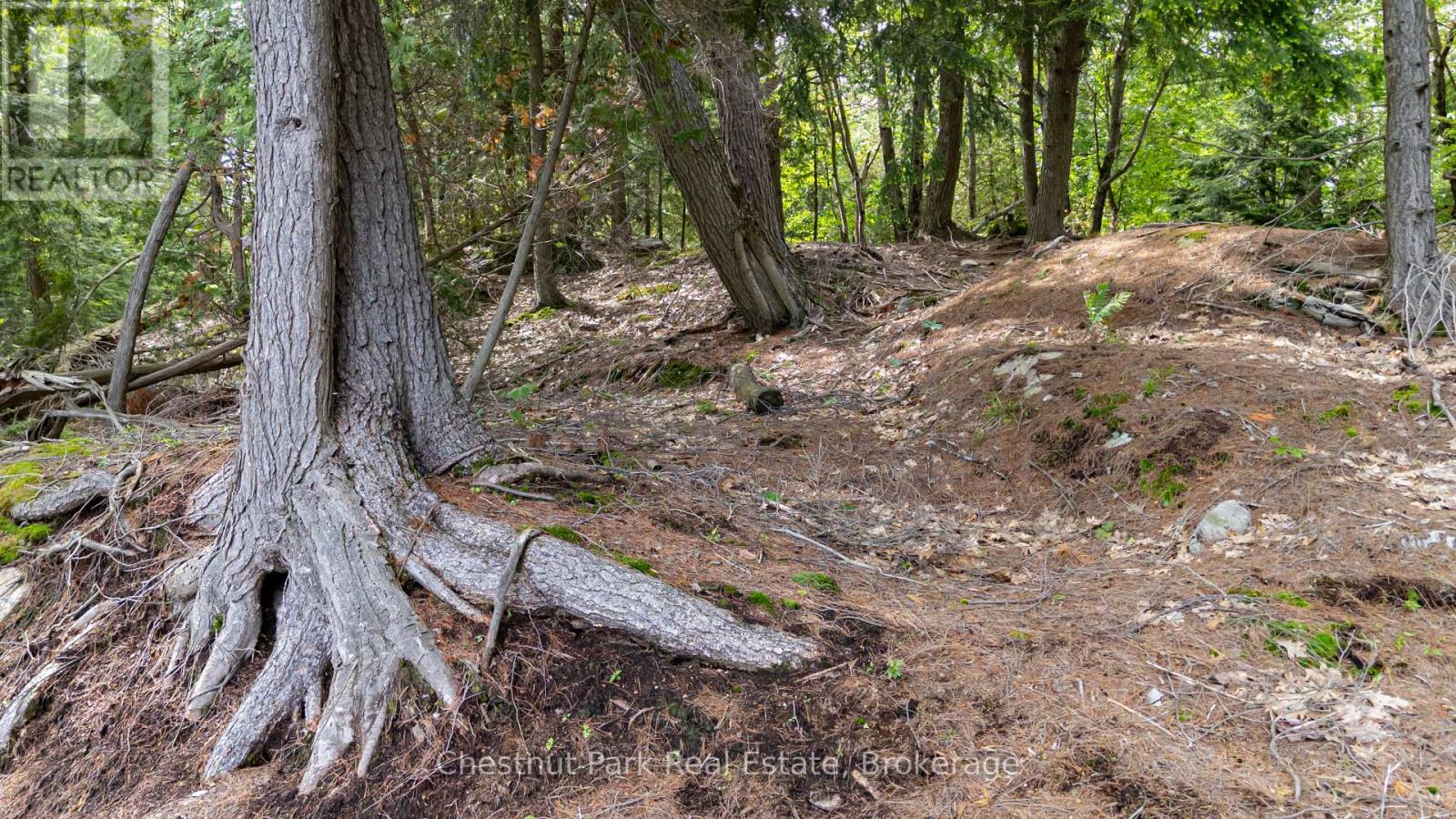 0 Meda Island Lot 4, Muskoka Lakes (Medora), Ontario  P0B 1J0 - Photo 3 - X13095058