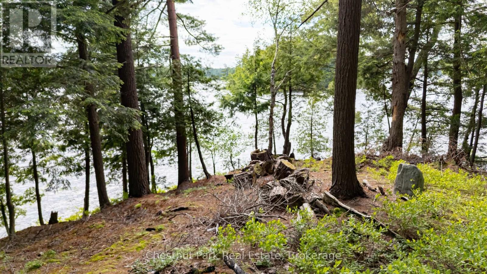 0 Meda Island Lot 3, Muskoka Lakes (Medora), Ontario  P0B 1J0 - Photo 3 - X13095062
