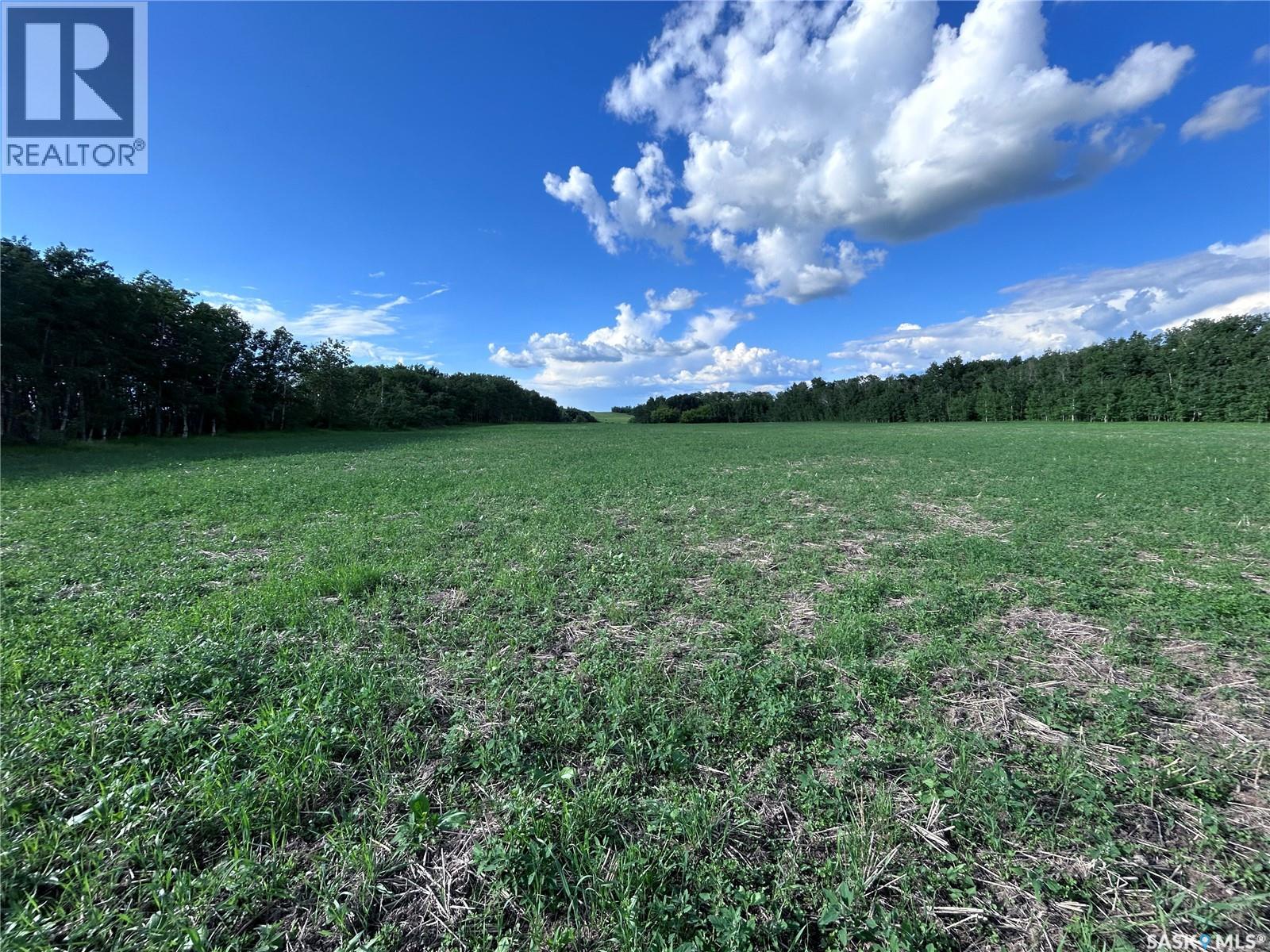St. Brieux 70 Acre Parcel, Lake Lenore Rm No. 399, Saskatchewan  S0K 3V0 - Photo 10 - SK040920