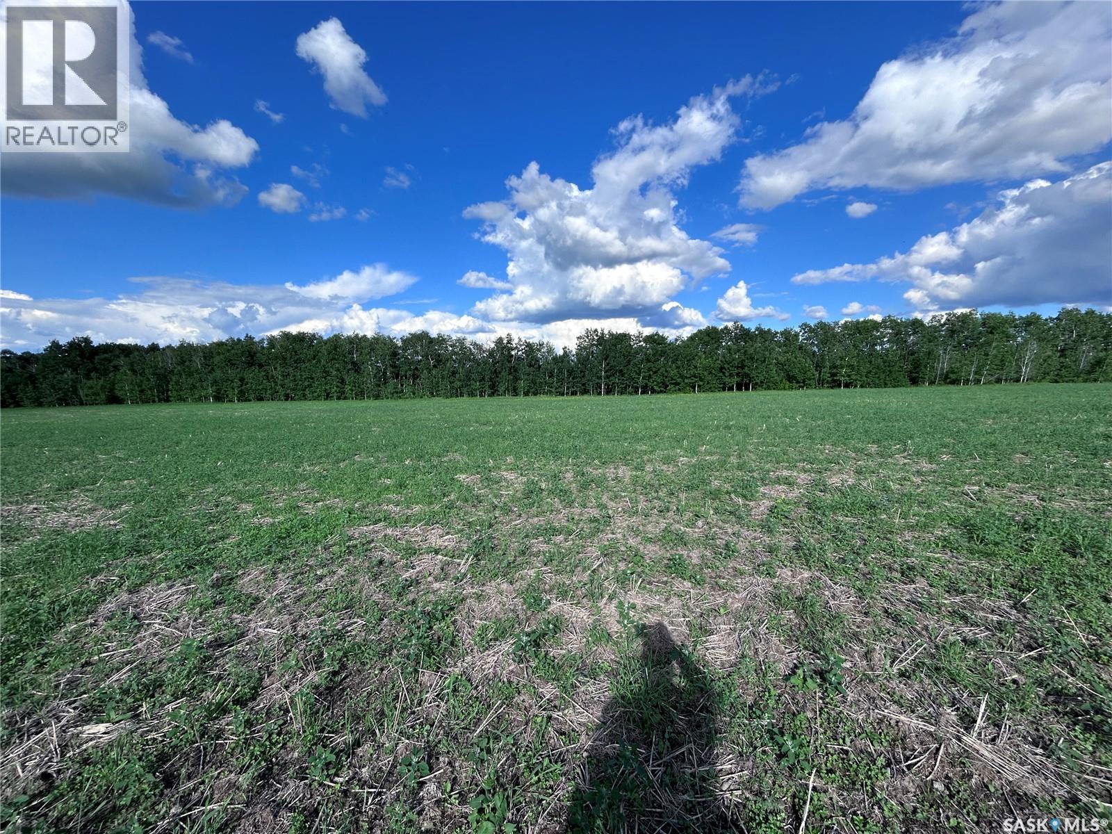 St. Brieux 70 Acre Parcel, Lake Lenore Rm No. 399, Saskatchewan  S0K 3V0 - Photo 11 - SK040920