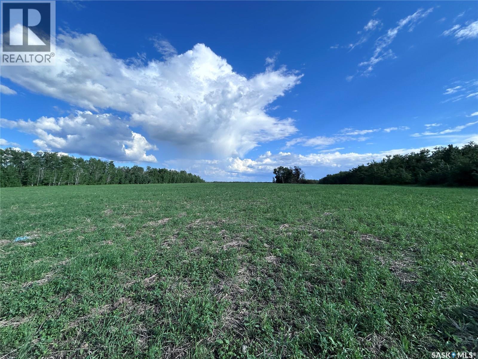 St. Brieux 70 Acre Parcel, Lake Lenore Rm No. 399, Saskatchewan  S0K 3V0 - Photo 12 - SK040920