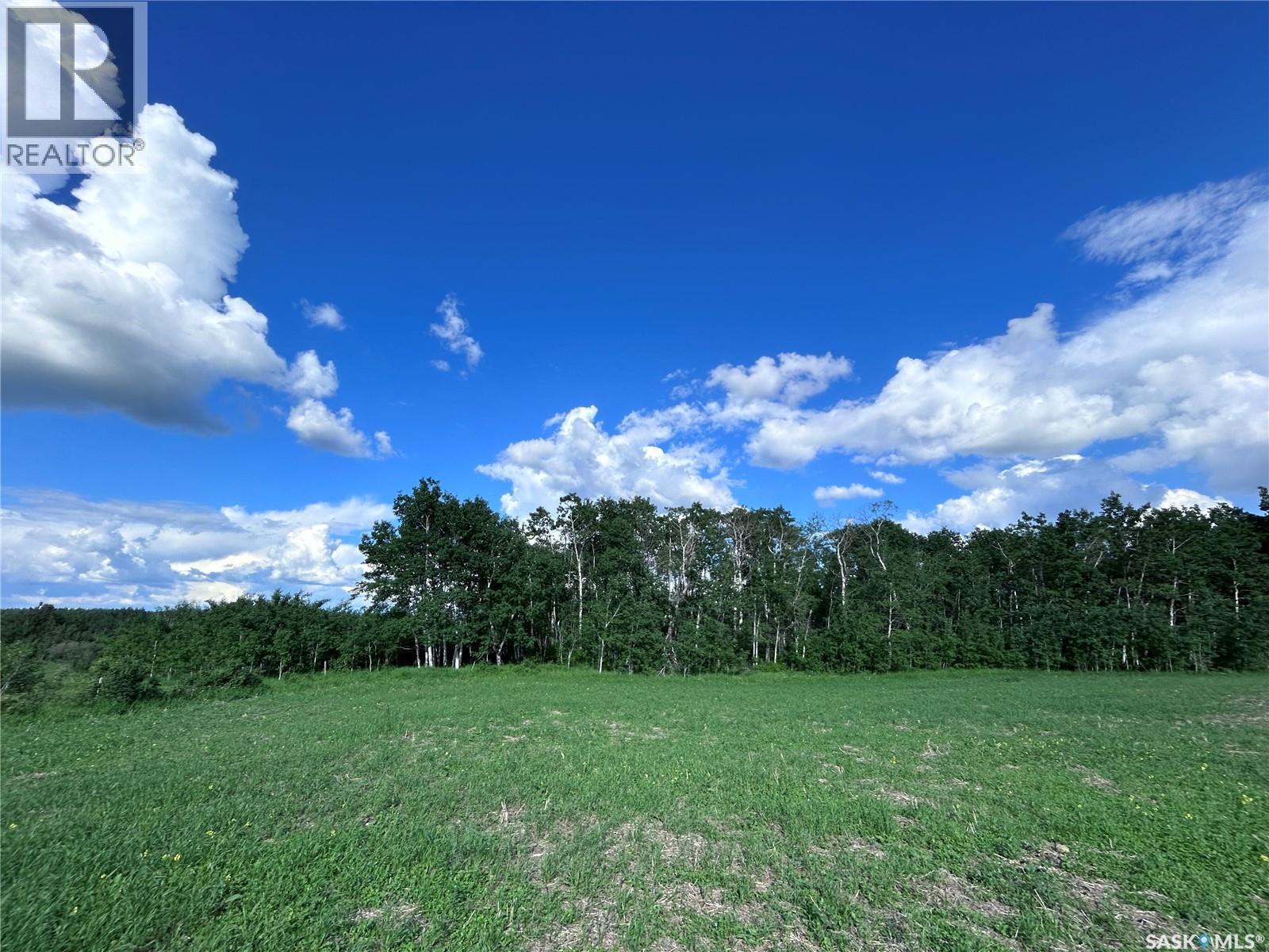 St. Brieux 70 Acre Parcel, Lake Lenore Rm No. 399, Saskatchewan  S0K 3V0 - Photo 13 - SK040920