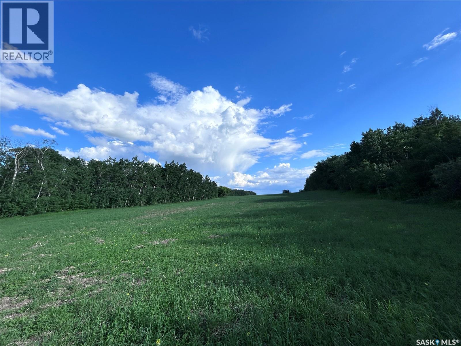 St. Brieux 70 Acre Parcel, Lake Lenore Rm No. 399, Saskatchewan  S0K 3V0 - Photo 14 - SK040920