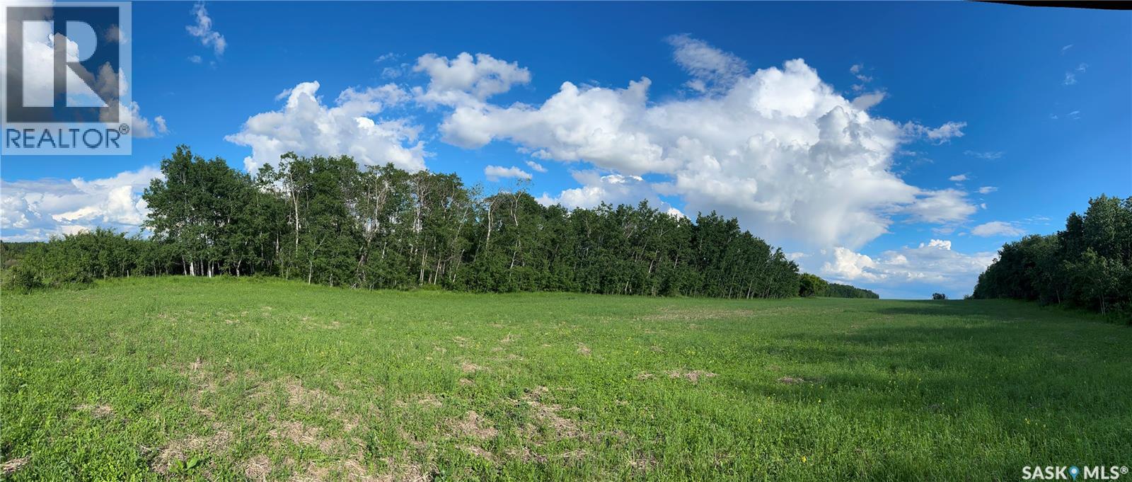 St. Brieux 70 Acre Parcel, Lake Lenore Rm No. 399, Saskatchewan  S0K 3V0 - Photo 15 - SK040920