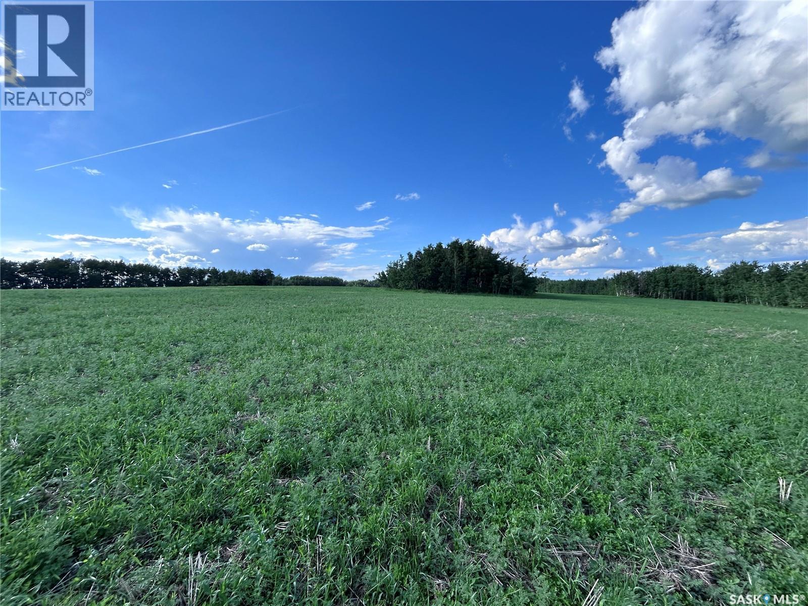 St. Brieux 70 Acre Parcel, Lake Lenore Rm No. 399, Saskatchewan  S0K 3V0 - Photo 16 - SK040920