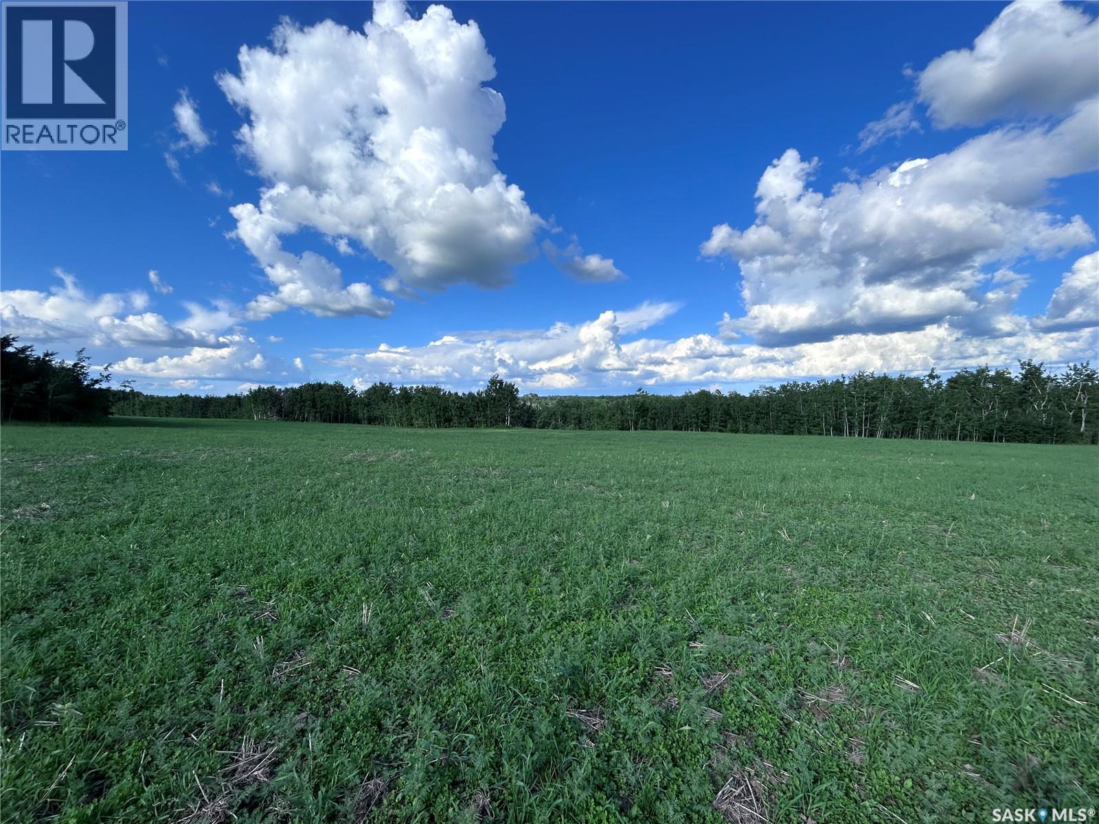 St. Brieux 70 Acre Parcel, Lake Lenore Rm No. 399, Saskatchewan  S0K 3V0 - Photo 17 - SK040920