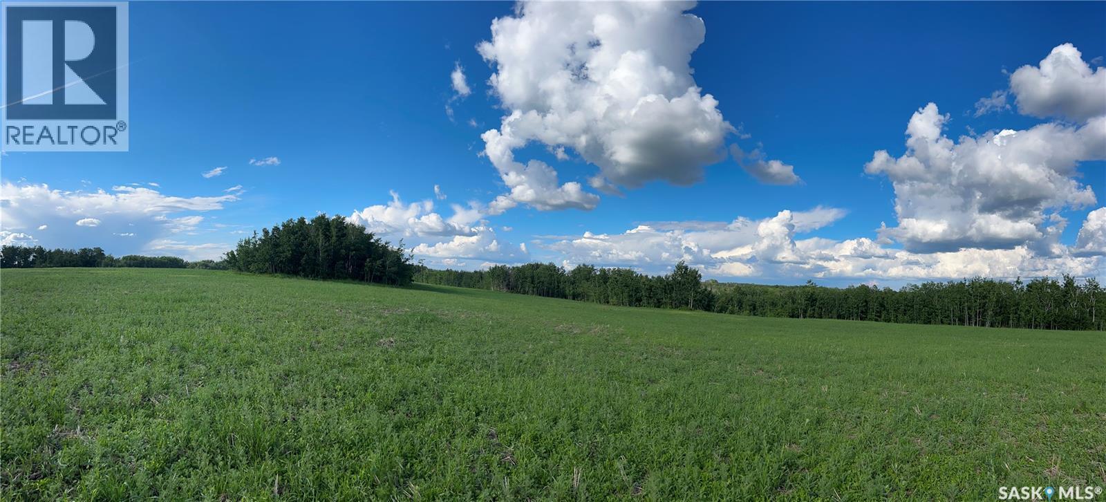 St. Brieux 70 Acre Parcel, Lake Lenore Rm No. 399, Saskatchewan  S0K 3V0 - Photo 18 - SK040920