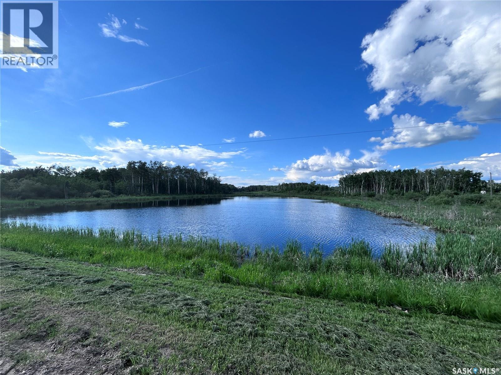 St. Brieux 70 Acre Parcel, Lake Lenore Rm No. 399, Saskatchewan  S0K 3V0 - Photo 19 - SK040920
