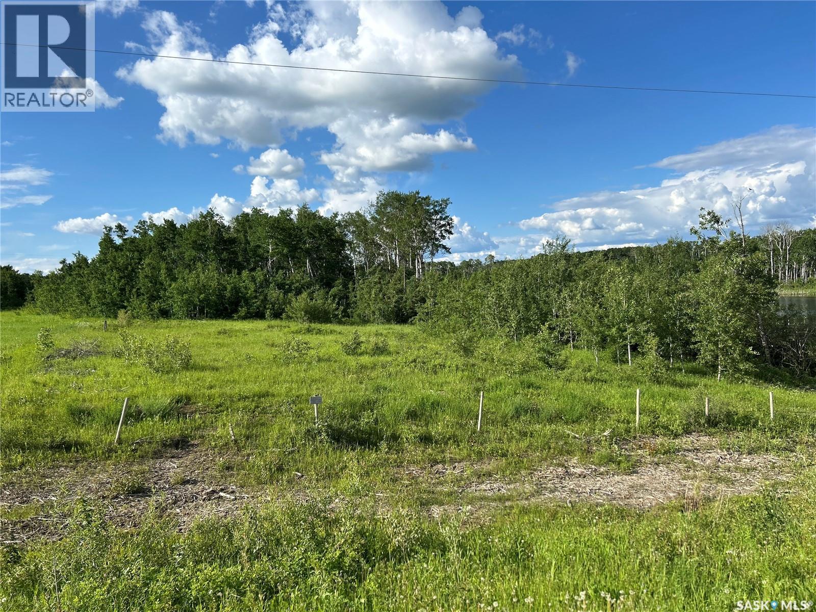 St. Brieux 70 Acre Parcel, Lake Lenore Rm No. 399, Saskatchewan  S0K 3V0 - Photo 5 - SK040920