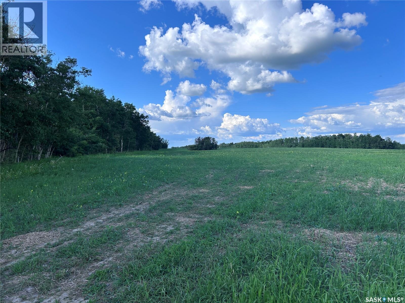 St. Brieux 70 Acre Parcel, Lake Lenore Rm No. 399, Saskatchewan  S0K 3V0 - Photo 6 - SK040920