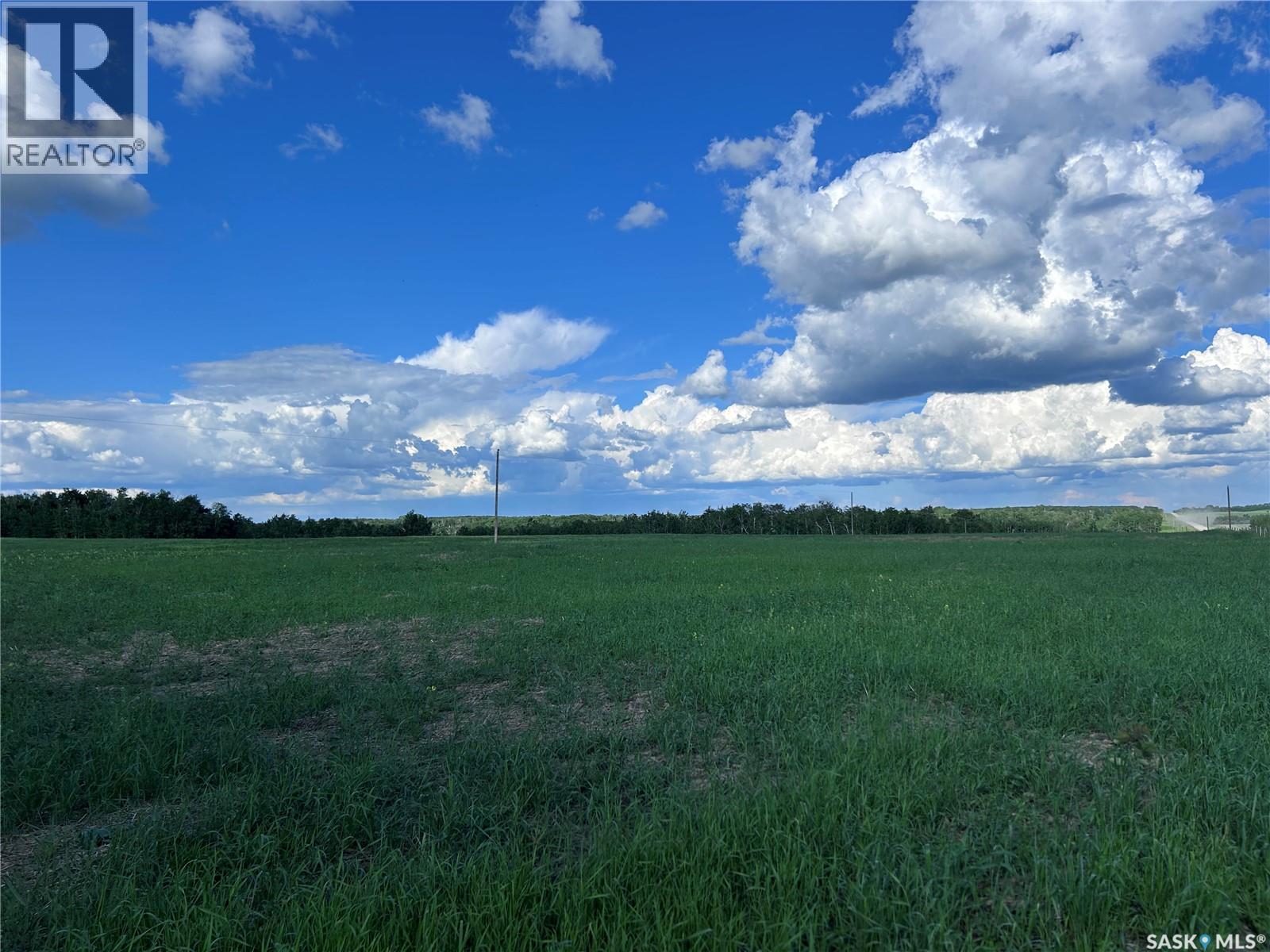 St. Brieux 70 Acre Parcel, Lake Lenore Rm No. 399, Saskatchewan  S0K 3V0 - Photo 7 - SK040920