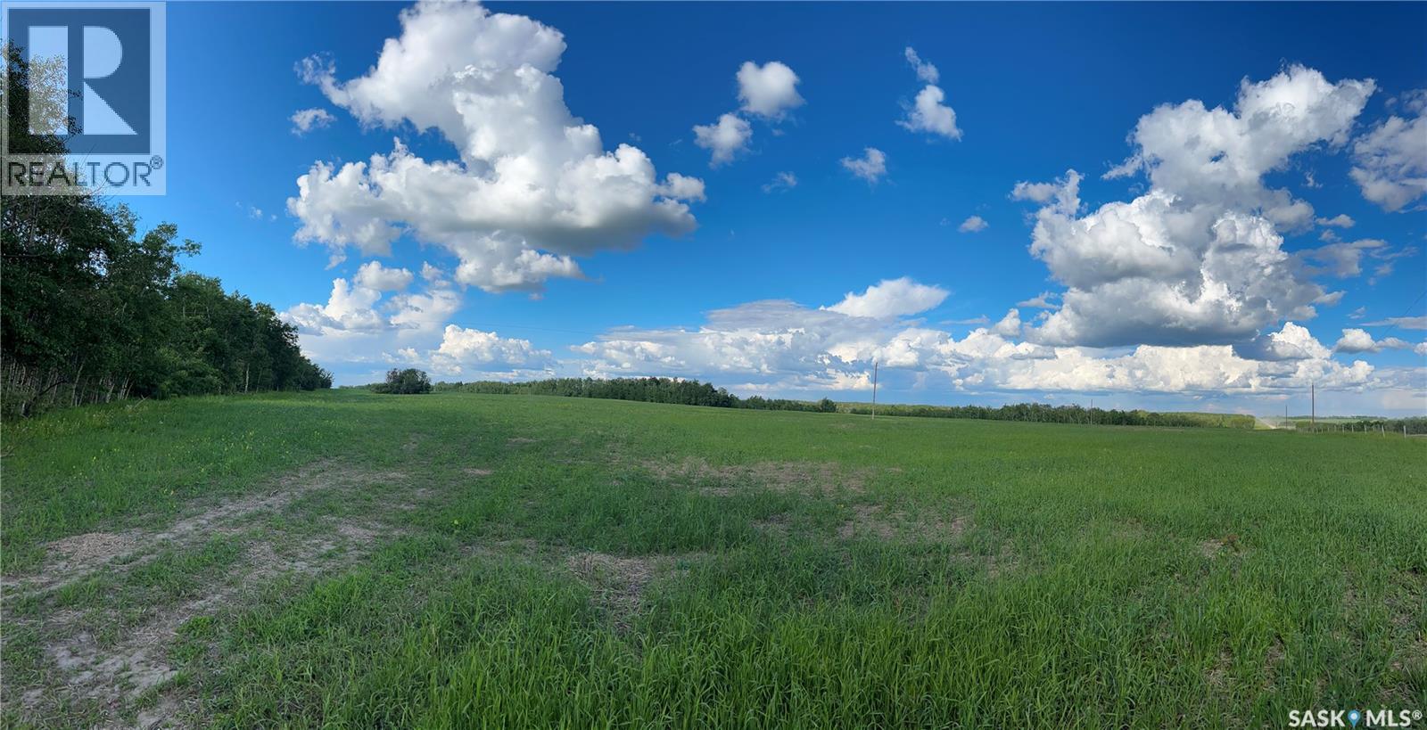 St. Brieux 70 Acre Parcel, Lake Lenore Rm No. 399, Saskatchewan  S0K 3V0 - Photo 8 - SK040920