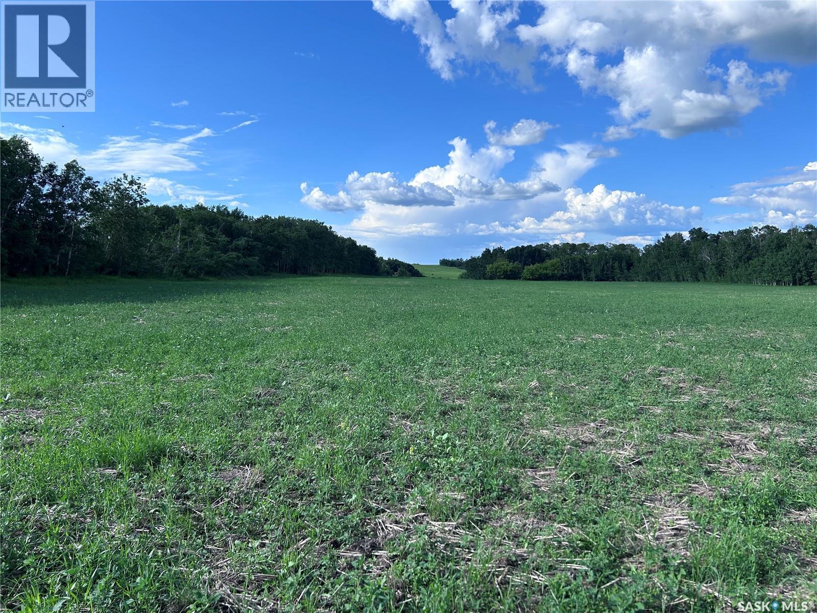 St. Brieux 70 Acre Parcel, Lake Lenore Rm No. 399, Saskatchewan  S0K 3V0 - Photo 9 - SK040920