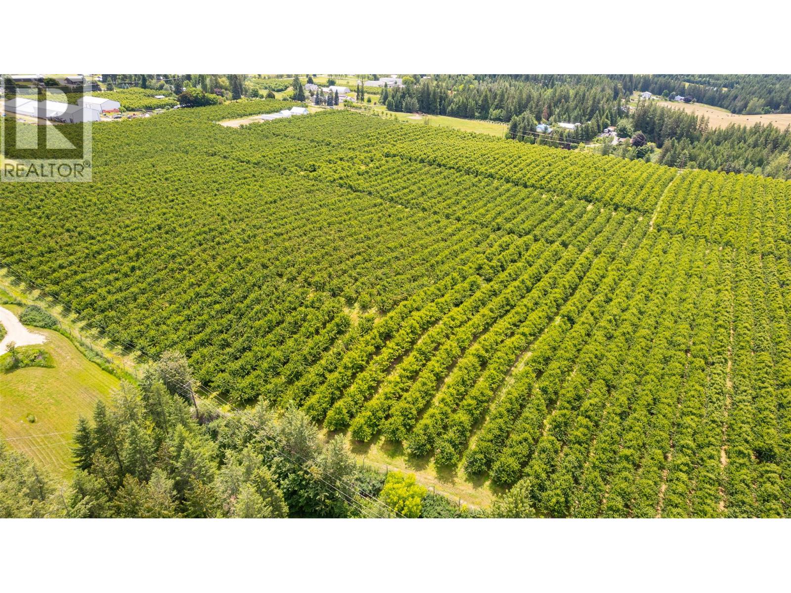 4733 Canyon-Lister Road, Canyon, British Columbia  V0B 1C1 - Photo 68 - 10390589