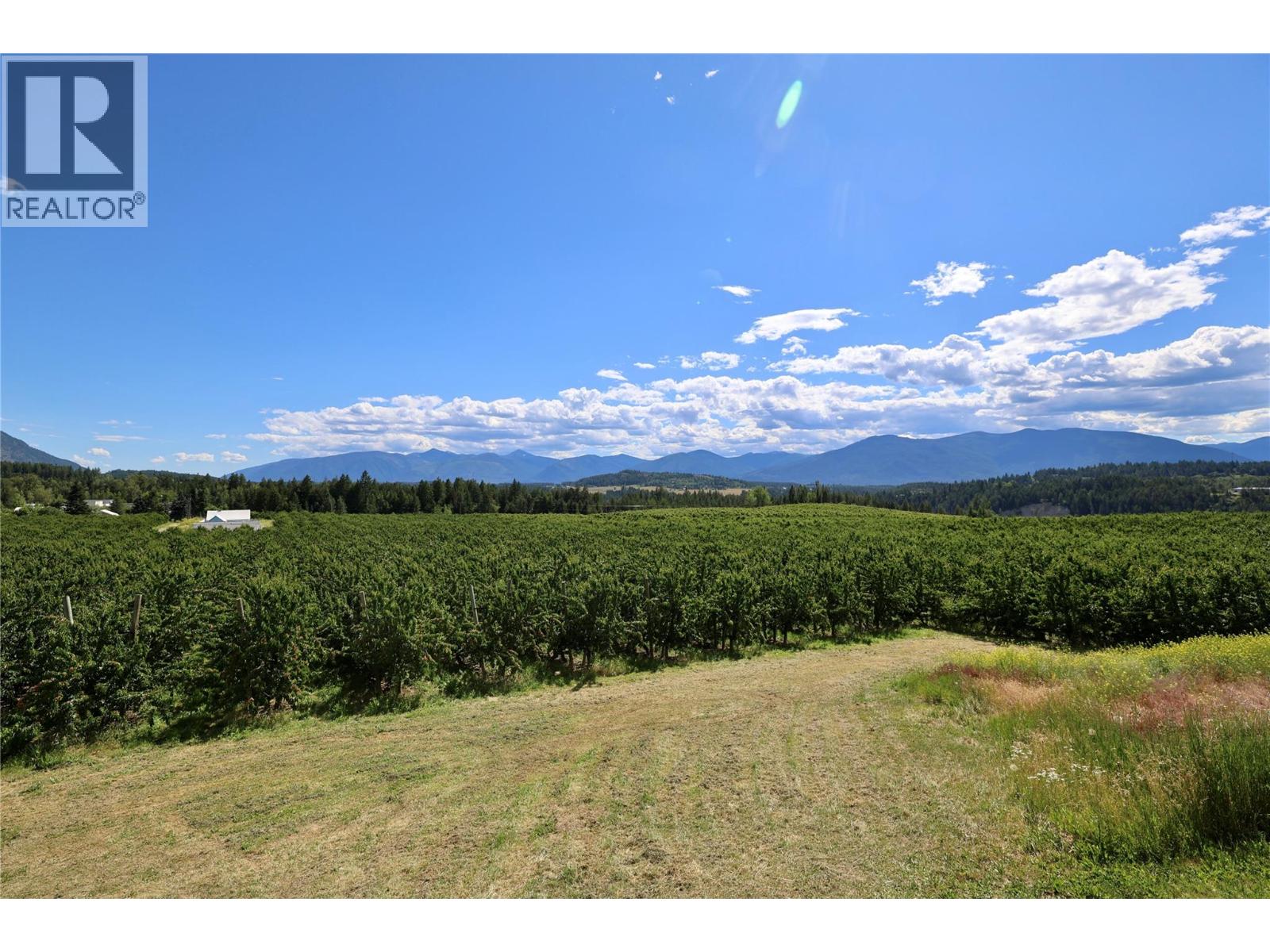 3851 Canyon-Lister Road, Canyon, British Columbia  V0B 1C1 - Photo 20 - 10390801