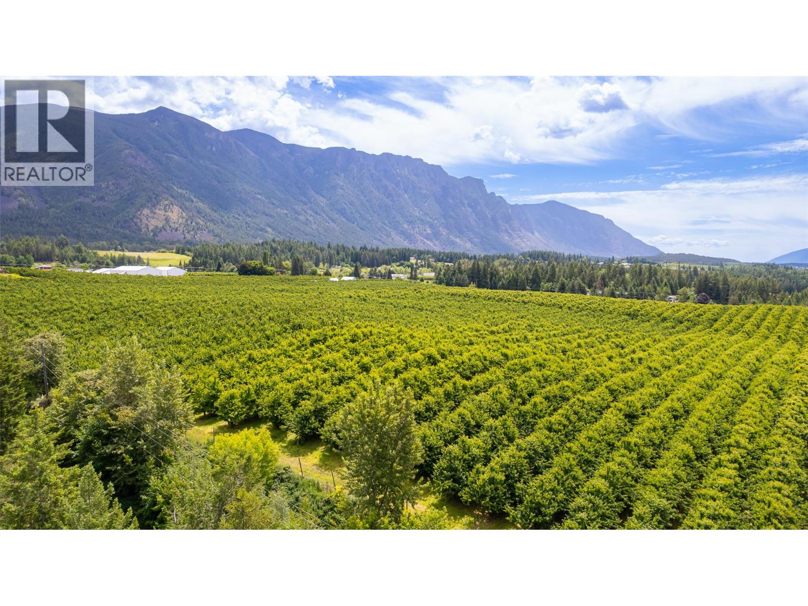 3851 Canyon-Lister Road, Canyon, British Columbia  V0B 1C1 - Photo 44 - 10390801