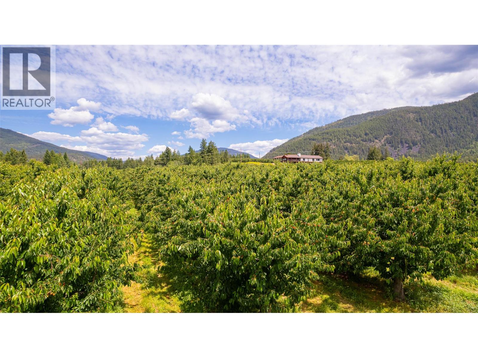 3851 Canyon-Lister Road, Canyon, British Columbia  V0B 1C1 - Photo 43 - 10390801