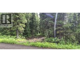 9341 BIRCHILL CRESCENT, Prince George, British Columbia