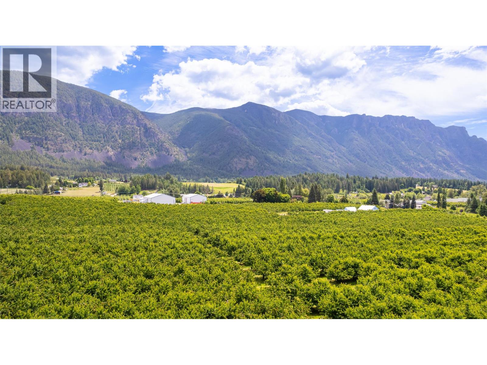 Parcel 8 46th Street, Canyon, British Columbia  V0B 1C1 - Photo 8 - 10390591