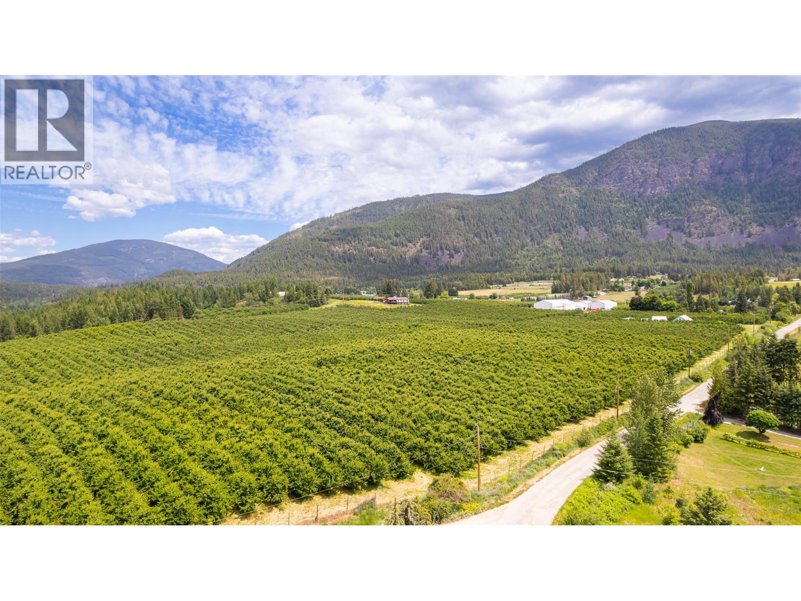 Parcel A 46th Street, Canyon, British Columbia  V0B 1C1 - Photo 16 - 10390590