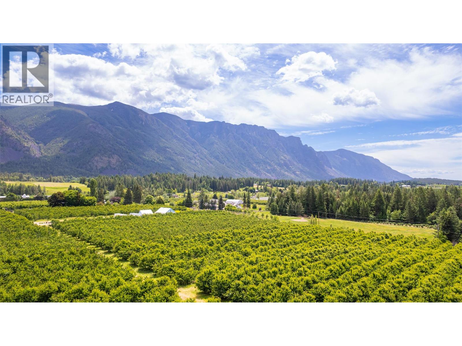Parcel A 46th Street, Canyon, British Columbia  V0B 1C1 - Photo 11 - 10390590
