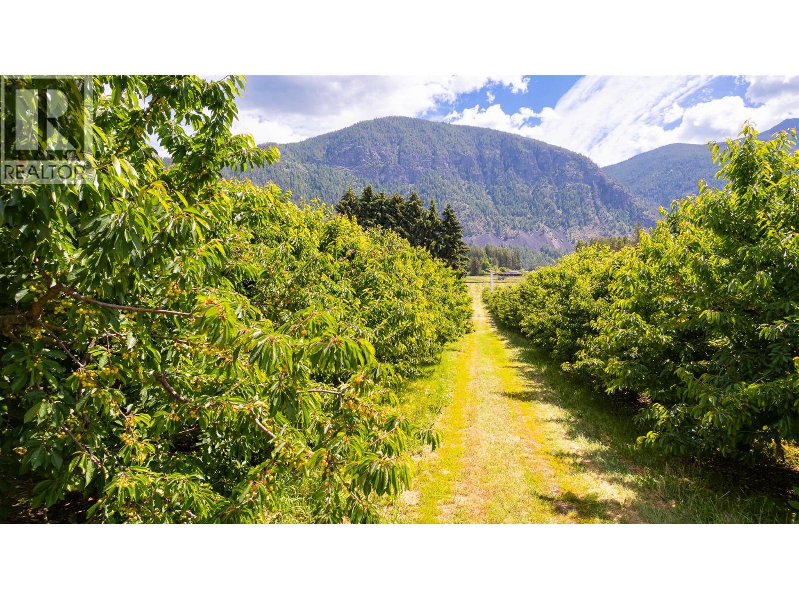 Parcel A Of Lot 79 & 80 Canyon Lister Road, Canyon, British Columbia  V0B 1C1 - Photo 18 - 10390782